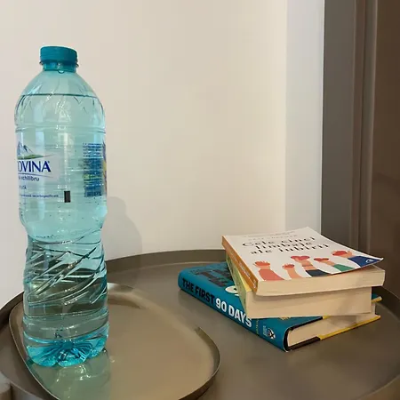 Apartment Parcului20 Near Romexpo, Herastrau Park *